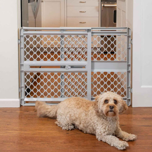 MYPET Universal Pet Gate – Top of Stairs Safety Barrier for Puppies and Small Dogs, Pressure or Hardware Mount, 26" Tall Gray