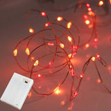 QBIS Warm White Fairy Lights Battery Operated With Timer Mode, 40 Micro LED for Mason Jars, 6.5ft Silver Wire Indoor Use