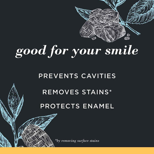 Burt's Bees Toothpaste, Natural Flavor, Charcoal with Fluoride Toothpaste