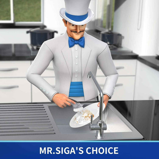 MR.SIGA Pot and Pan Cleaning Brush, Dish Brush for Kitchen, Pack of 2