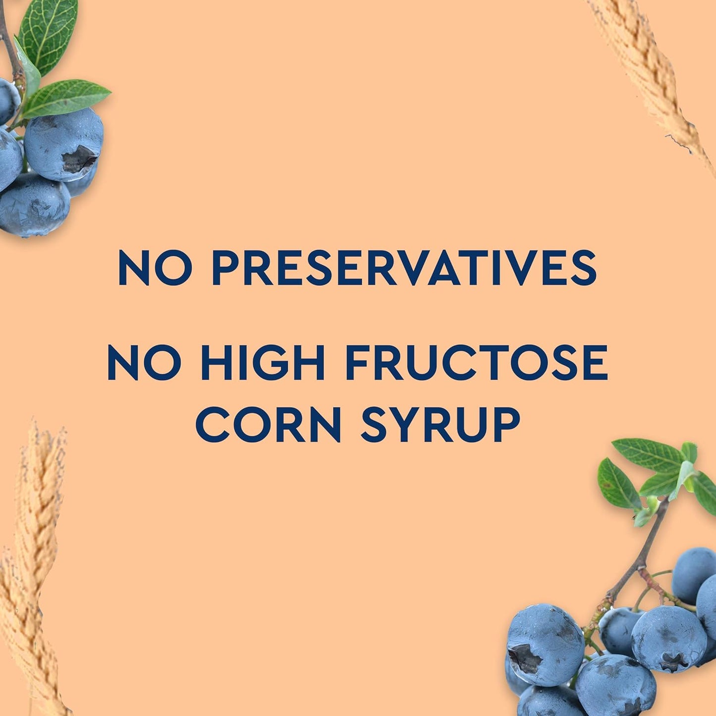 Duncan_Hines_Simple_Mornings_Blueberry_Streusel_Premium_Muffin_Mix,_20.5_oz