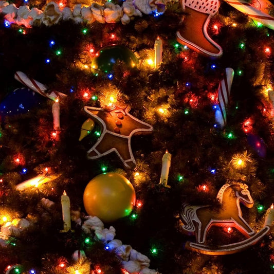 Dazzle_Bright_2/4_Pack_Solar_String_Lights_Outdoor,_Total_80FT_240LED_Solar_Powered_Waterproof_Fairy_Lights_8_Modes,_Copper_Wire_Lights_for_Christmas_Patio_Party_Tree_Yard_Decoration_(Multi-Colored)