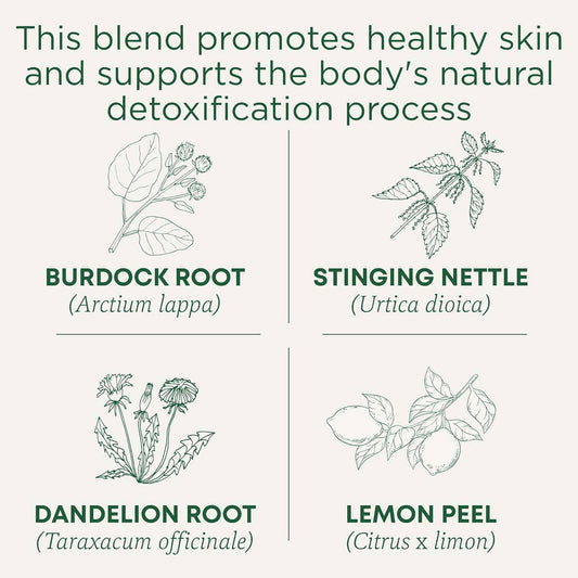 Traditional Medicinals Organic Everyday Detox Lemon Tea – Afternoon Desk Brew for Caffeine-Free Focus, 16 Bags