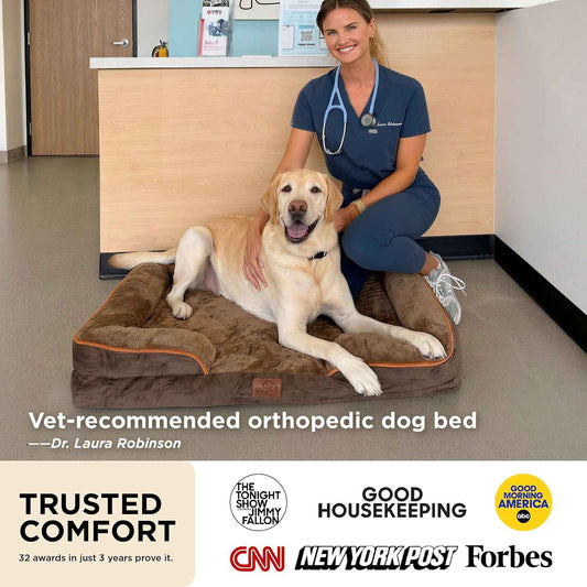 Bedsure Orthopedic Dog Bed – Joint Relief Sleeping Surface for Senior Large Breeds