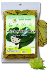 Guanábana Hojas Soursop Leaf Tea – Calming Caffeine-Free Herbal Infusion for Evening Wind-Down Rituals
