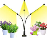 bseah Grow Light for Indoor Plants – Clutter-Free Plant Care, Full Spectrum Lamp with Simple USB Plug