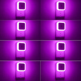 Sujeet Night Light 8-Pack – Warm White and Color LED Accent Lighting for Bedroom, Living Room, and Kitchen Ambiance