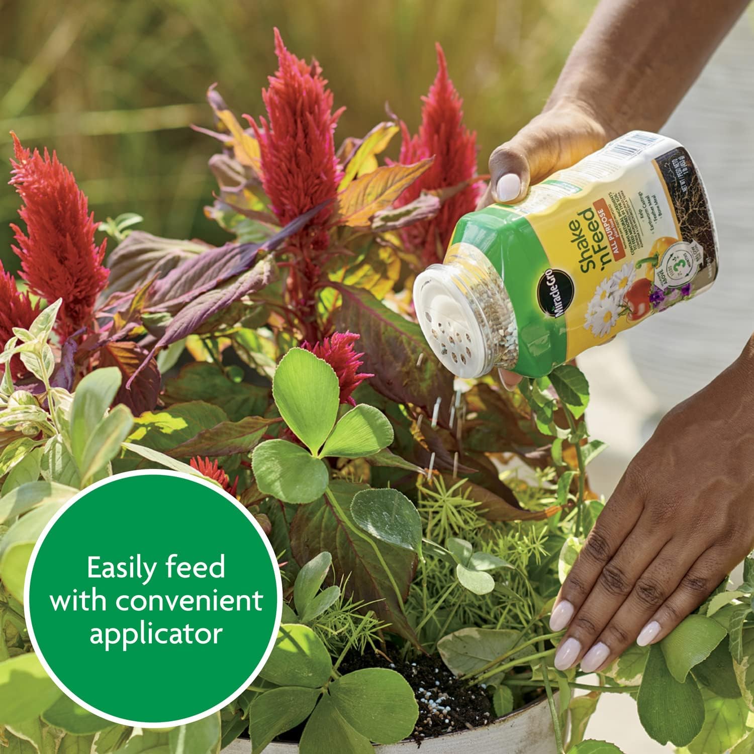 Miracle-Gro_Shake_'N_Feed_All_Purpose_Plant_Food,_For_In-Ground_and_Container_Plants,_Feeds_for_up_to_3_Months,_1_lb.