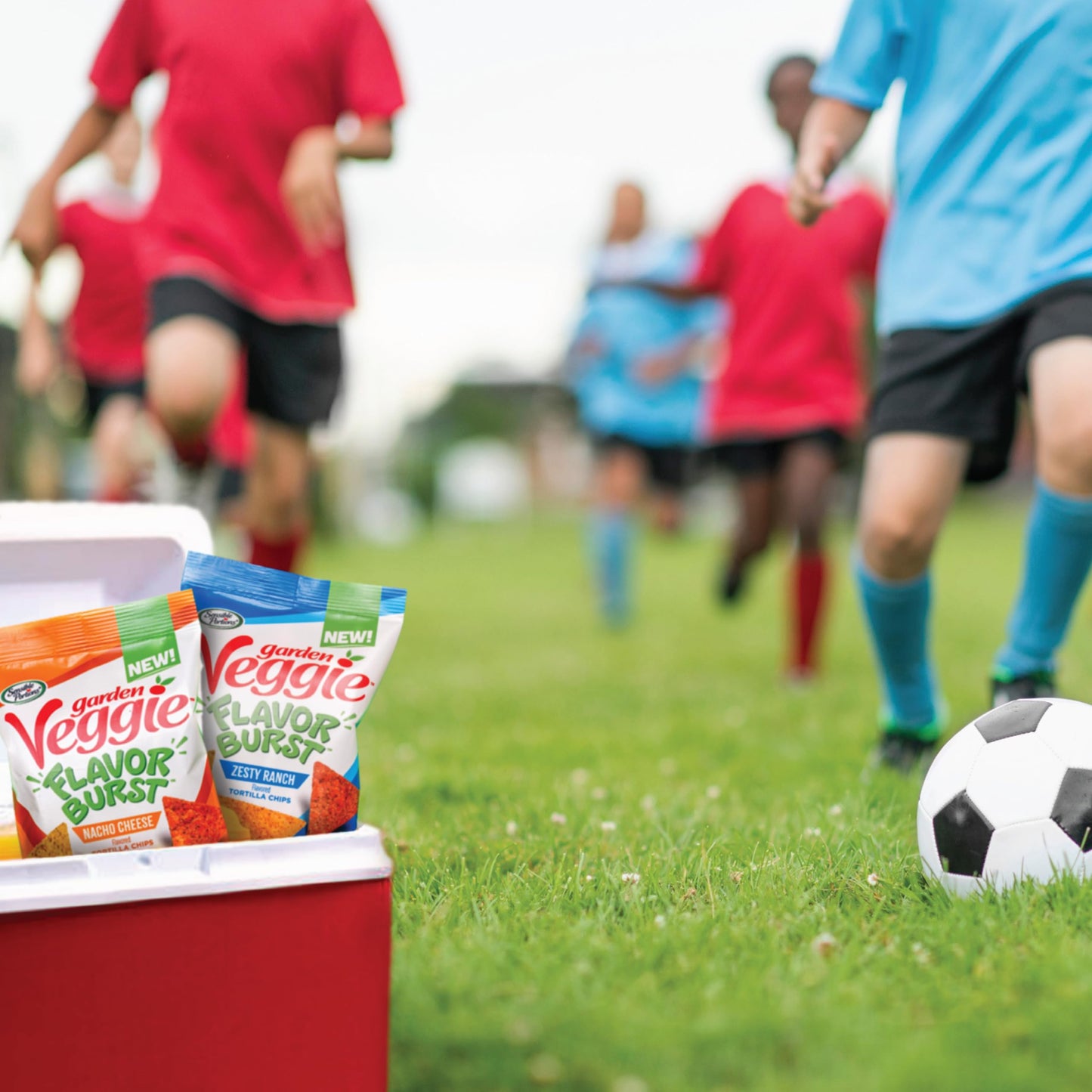 Sensible_Portions_Garden_Veggie_Flavor_Burst_Tortilla_Chips,_Nacho,_6_Oz