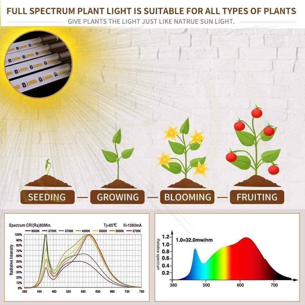 bseah Grow Light for Indoor Plants – Clutter-Free Plant Care, Full Spectrum Lamp with Simple USB Plug