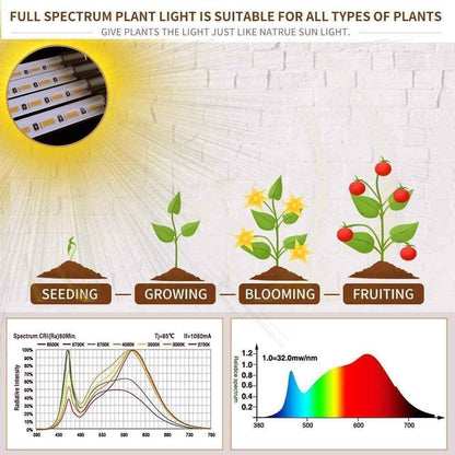 bseah Grow Light for Indoor Plants – Clutter-Free Plant Care, Full Spectrum Lamp with Simple USB Plug