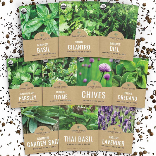 Organic Herb Seeds Variety Pack – Mindful Home Gardening for Stress Relief and Calm, 10 Heirloom Culinary Herbs