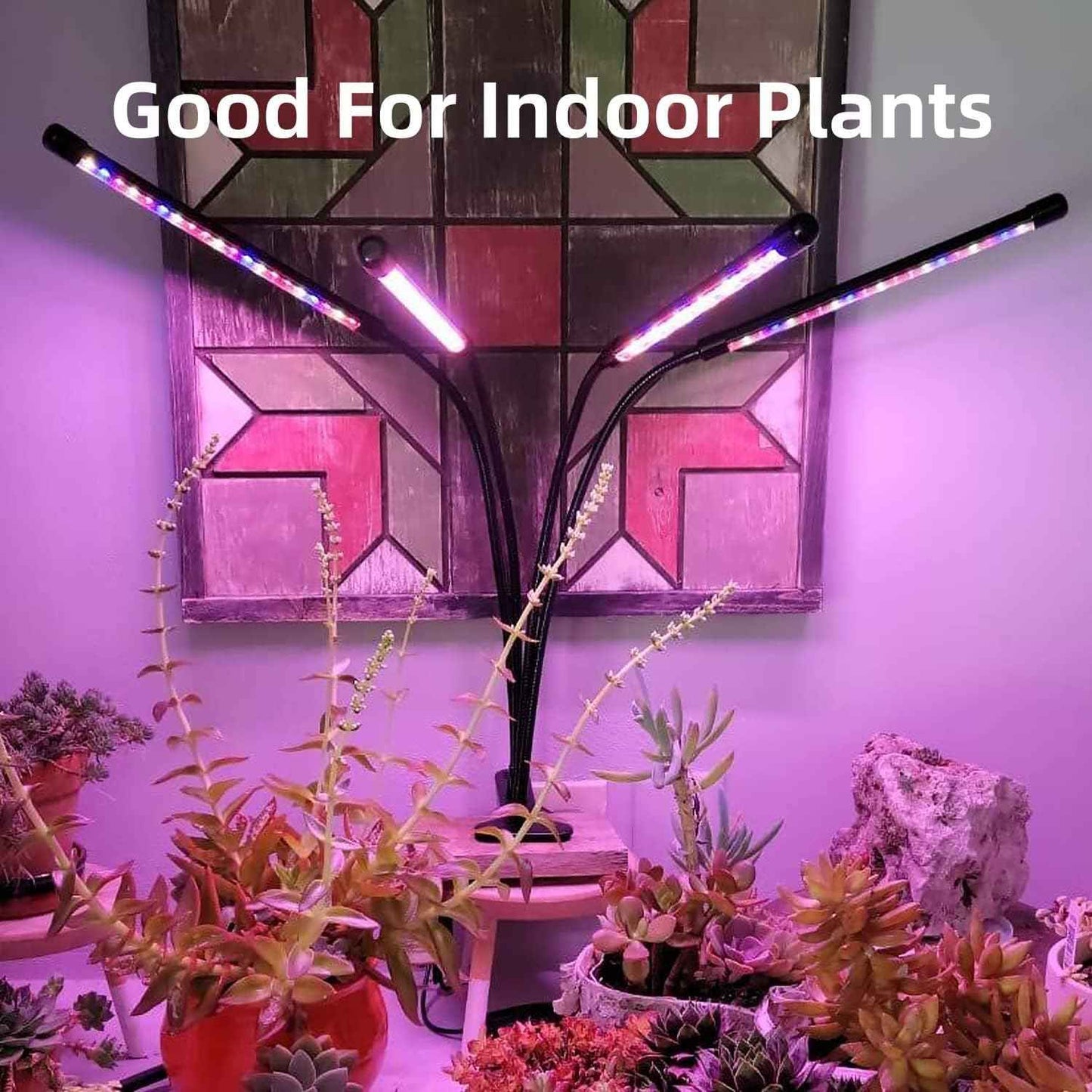 LUMIPRO Grow Light for Indoor Plants — Thoughtful Birthday Gift for Plant Lovers, Mom, and Coworkers with Timer