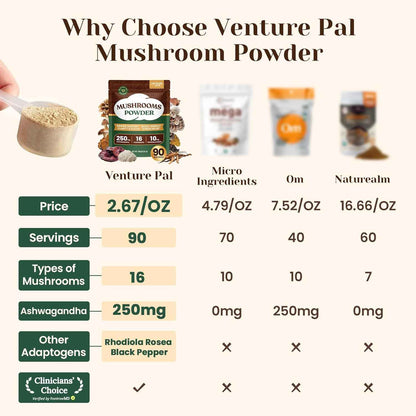 Venture Pal 16-in-1 Adaptogenic Mushroom Powder – Calming Evening Wind-Down Ritual for Stress and Mood Support