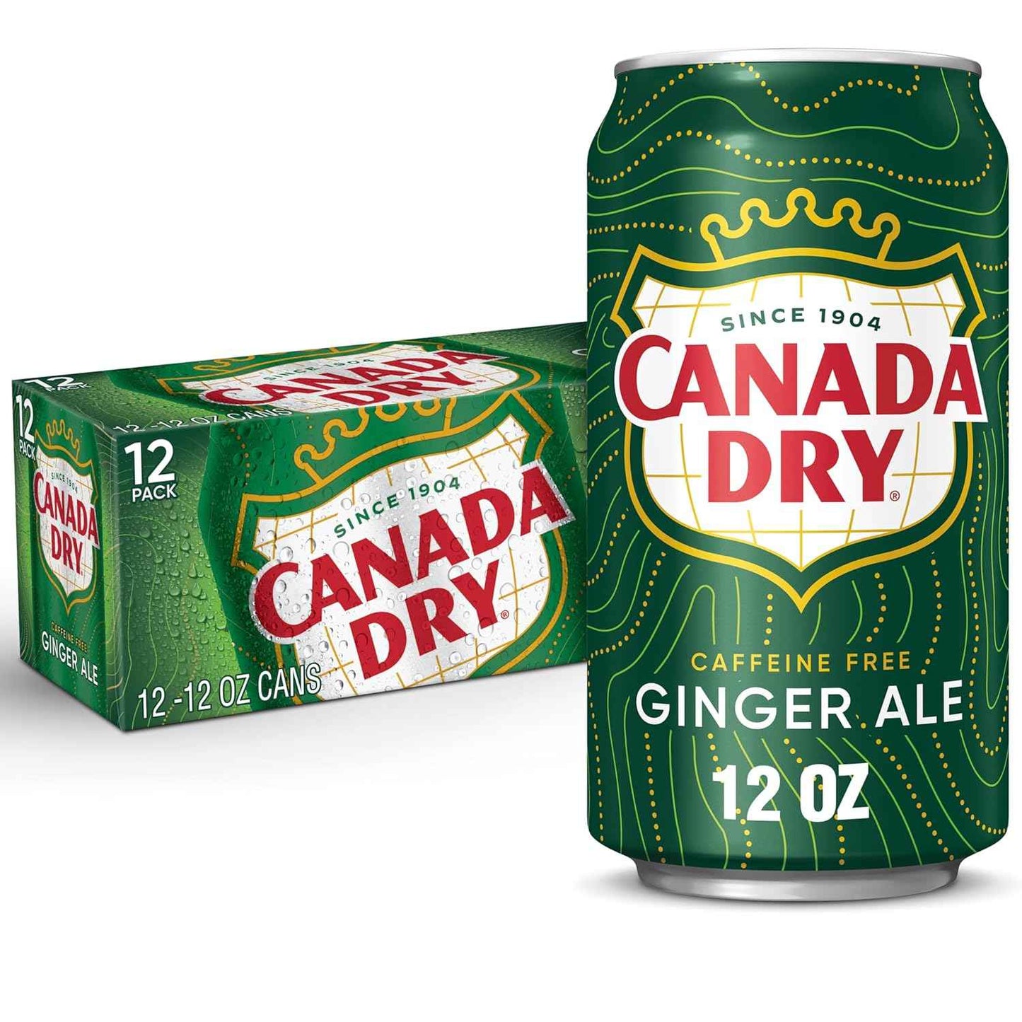 Canada Dry Ginger Ale Soda – Family Movie Night Soda, Caffeine-Free 12 fl oz Cans 24 Pack