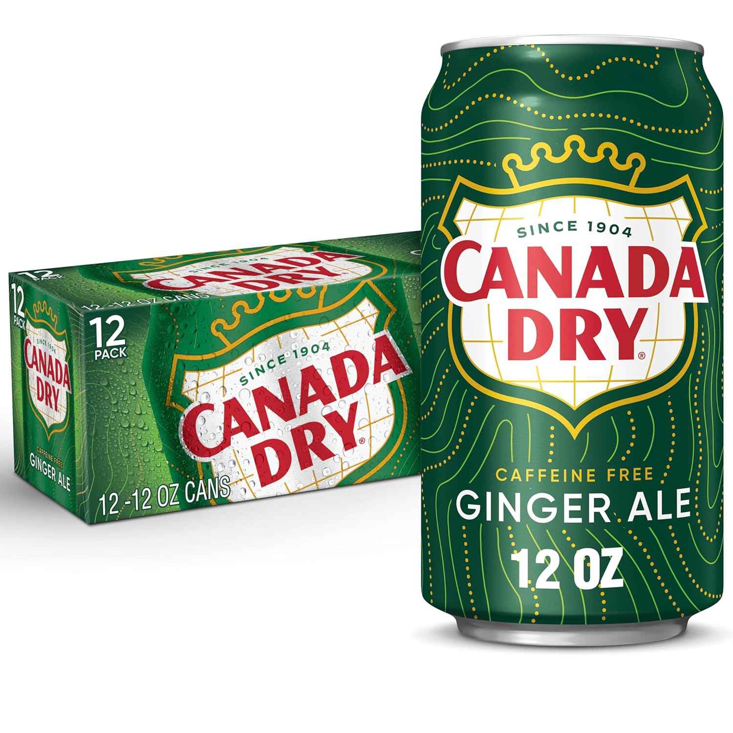 Canada Dry Ginger Ale Soda – Family Movie Night Soda, Caffeine-Free 12 fl oz Cans 24 Pack