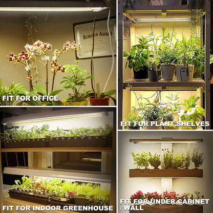Mosthink LED Plant Grow Light Strips – Designer Living Room Shelf Accent for Houseplants, Purple and White Finishes