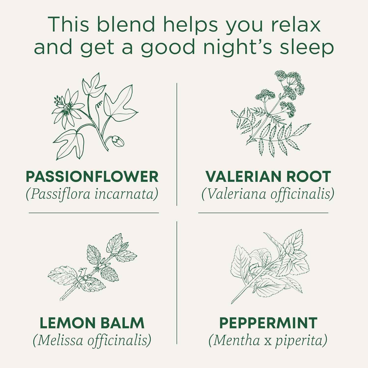 Traditional Medicinals Nighty Night Extra – Focus Recovery Tea for End-of-Workday Decompression, 16 Bags
