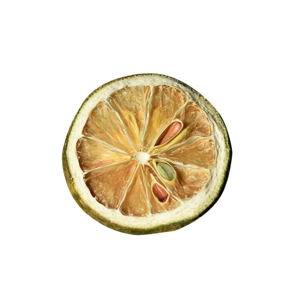 Citrico Dried Lime Slices for Cocktails – Clutter-Free Pantry Staple for Clean Kitchens