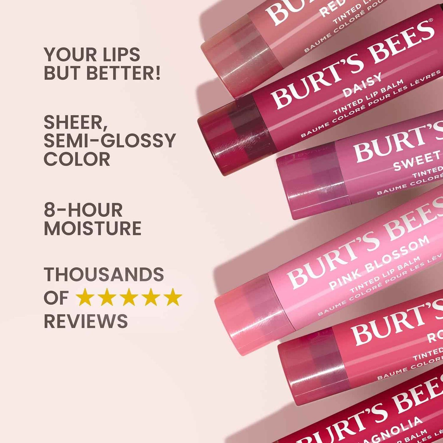 Burt's Bees Tinted Lip Balm 2-Pack – Affordable Birthday Gift for Her, Natural Moisturizing Lip Care Stocking Stuffer