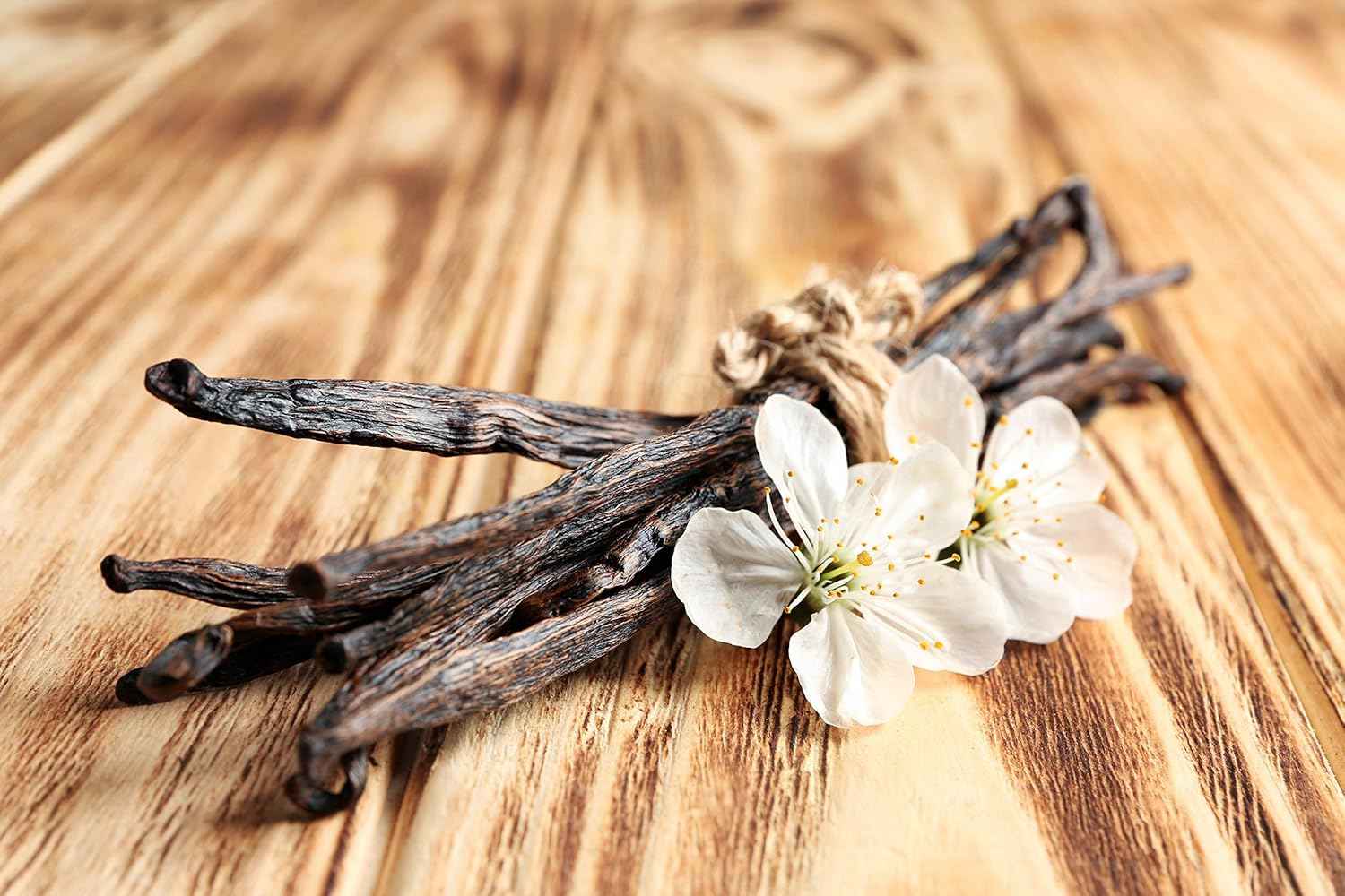 Vanilla Extract Co. Vanilla Beans – Simple Two-Ingredient Extract for the Intentional Home Cook