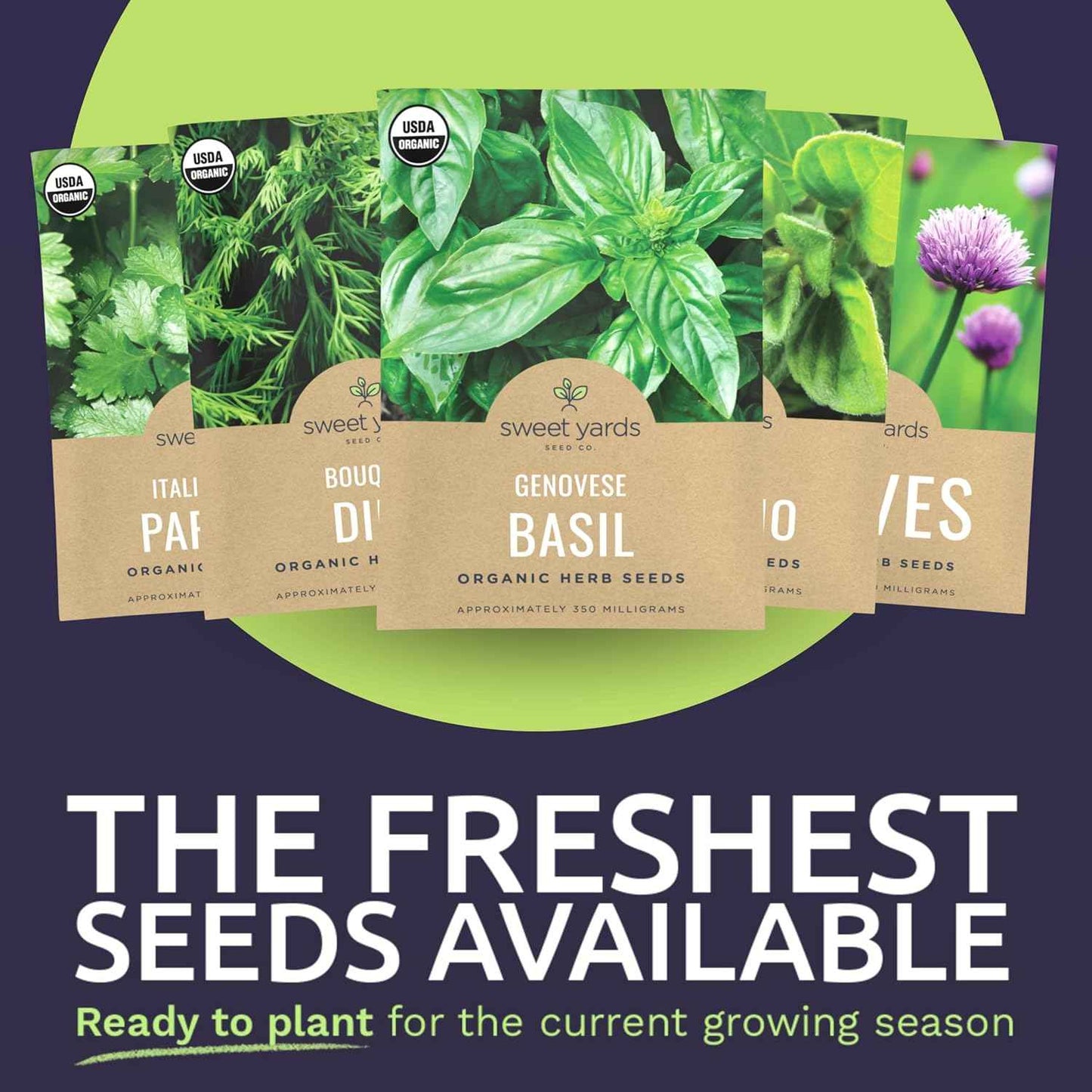 Organic Herb Seeds Variety Pack – Mindful Home Gardening for Stress Relief and Calm, 10 Heirloom Culinary Herbs