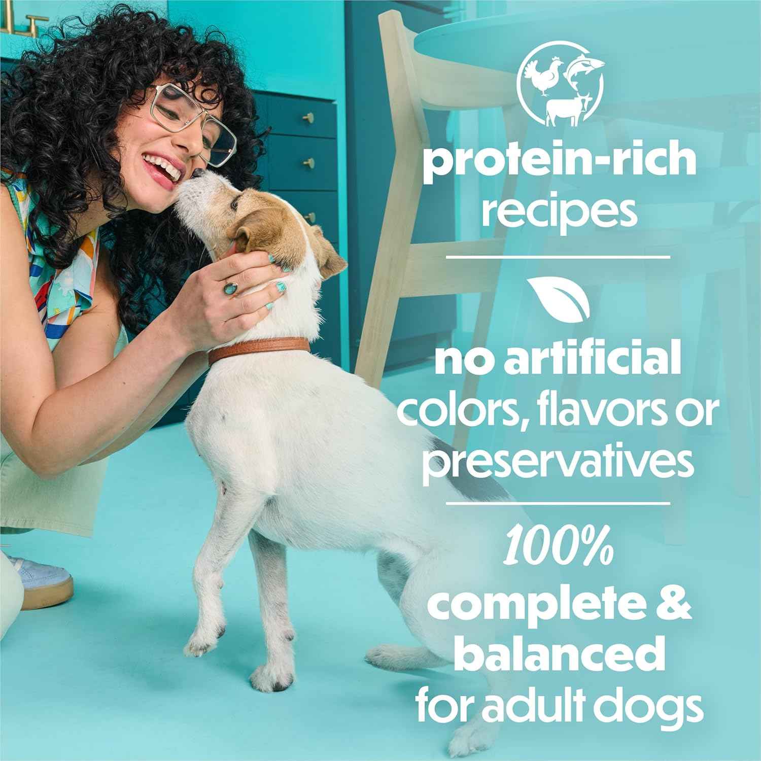 Beneful Purina Small Breed Wet Dog Food Variety Pack – Portable Pre-Portioned Meals for Camping and Kennel Stays, 30 Count