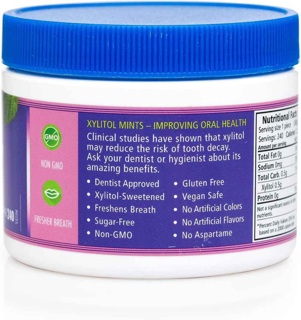 Spry Berry Blast Xylitol Mints – Choking-Safe Sugar-Free Candy for Children and Seniors, Bulk Oral Care