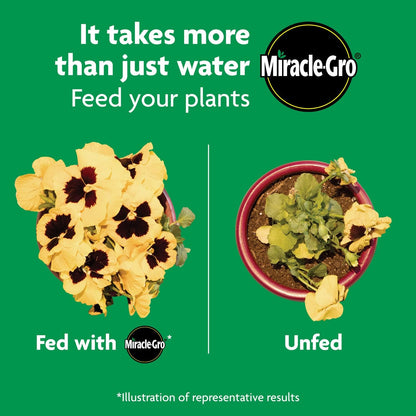 Miracle-Gro_Shake_'N_Feed_All_Purpose_Plant_Food,_For_In-Ground_and_Container_Plants,_Feeds_for_up_to_3_Months,_1_lb.
