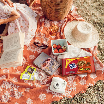 CHIPS_AHOY!_Chewy_Chocolate_Chip_Cookies_with_Reese's_Peanut_Butter_Cups,_Family_Size,_14.25_oz