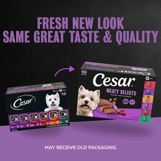Cesar Wet Dog Food – Premium Housewarming and Birthday Gift for Pet Parents Who Treat Dogs Like Family, 3.5 oz, 36 Count