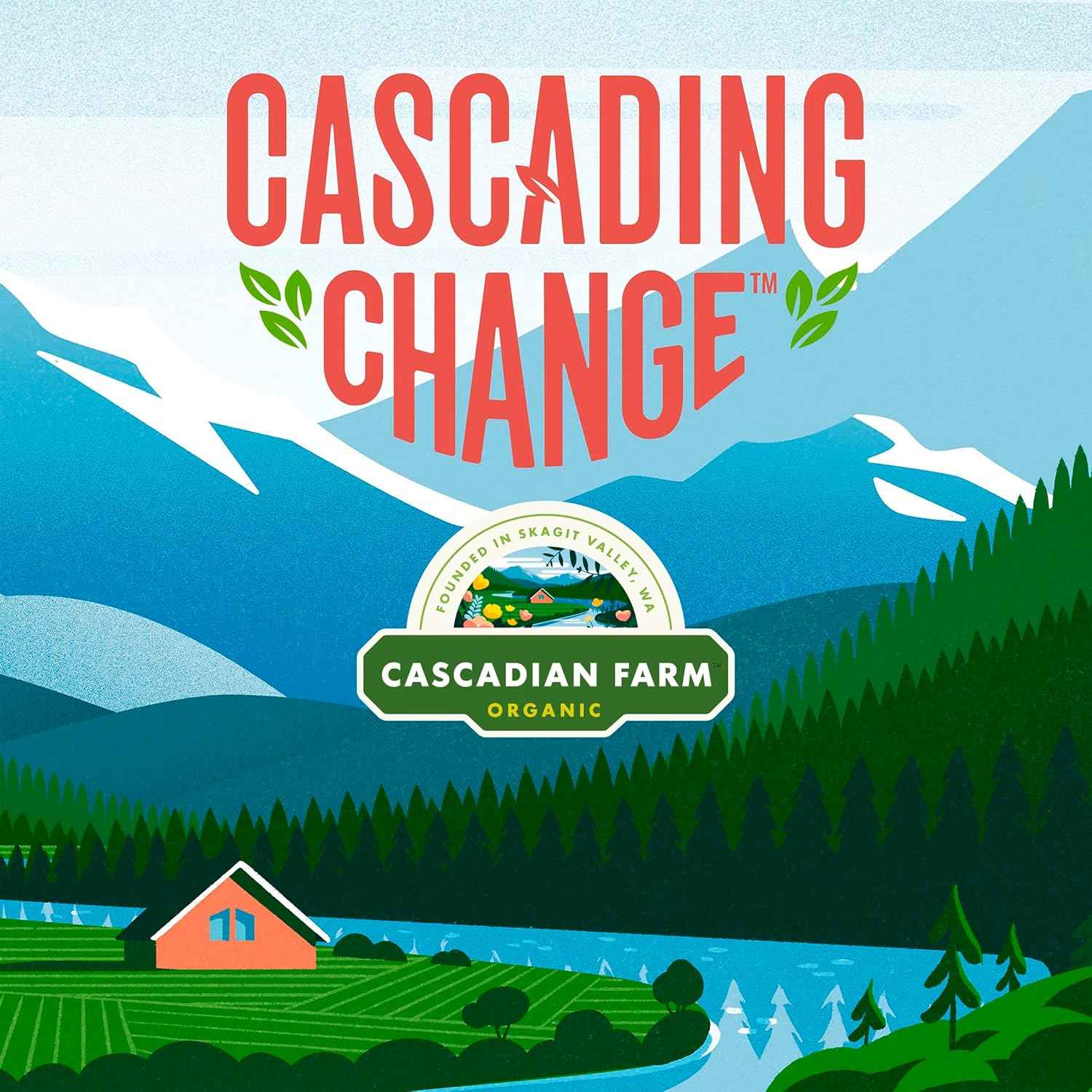 Cascadian Farm Organic Purely O's Cereal – Grab-and-Go Snack for the Office Pantry