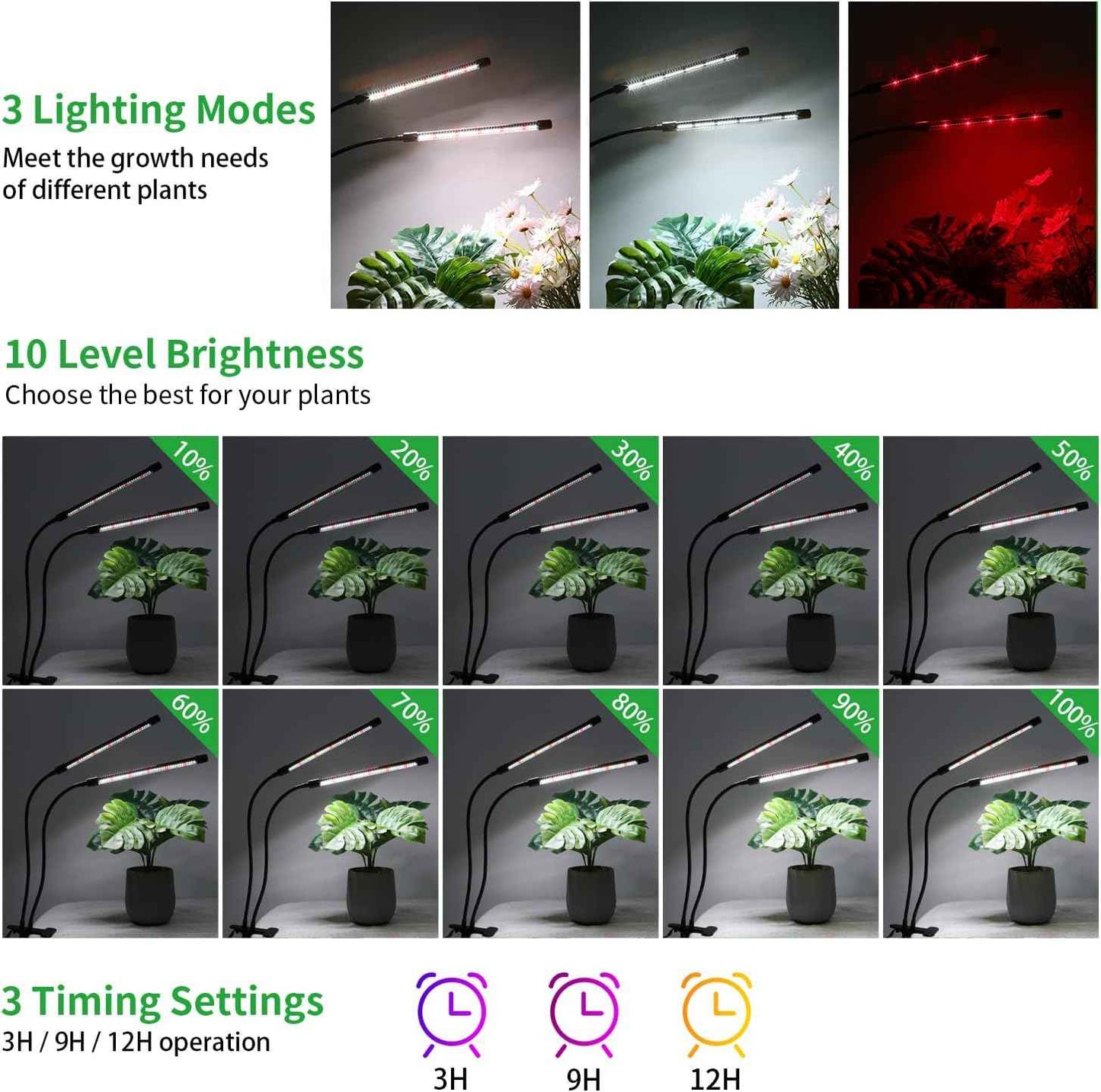 Domus Botanix Grow Light – Focus-Boosting Desk Companion for Home Office Plant Care