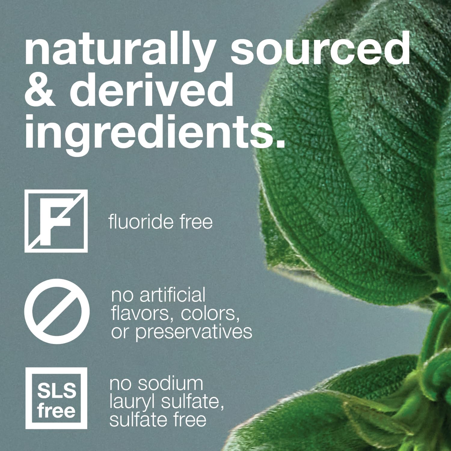 Davids_Fluoride_Free_Nano_Hydroxyapatite_Toothpaste_for_Remineralizing_Enamel_&_Sensitive_Relief,_Whitening,_Antiplaque,_SLS_Free