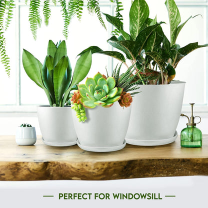 Utopia_Home_-_Plant_Pots_Indoor_with_Drainage_-_7/6.6/6/5.3/4.8_Inches_Flower_Pots_for_Indoor_Planter_-_5_Pack_Plastic_Planters_-_Ideal_for_Stocking_Stuffers_or_Home_Christmas_Decorations
