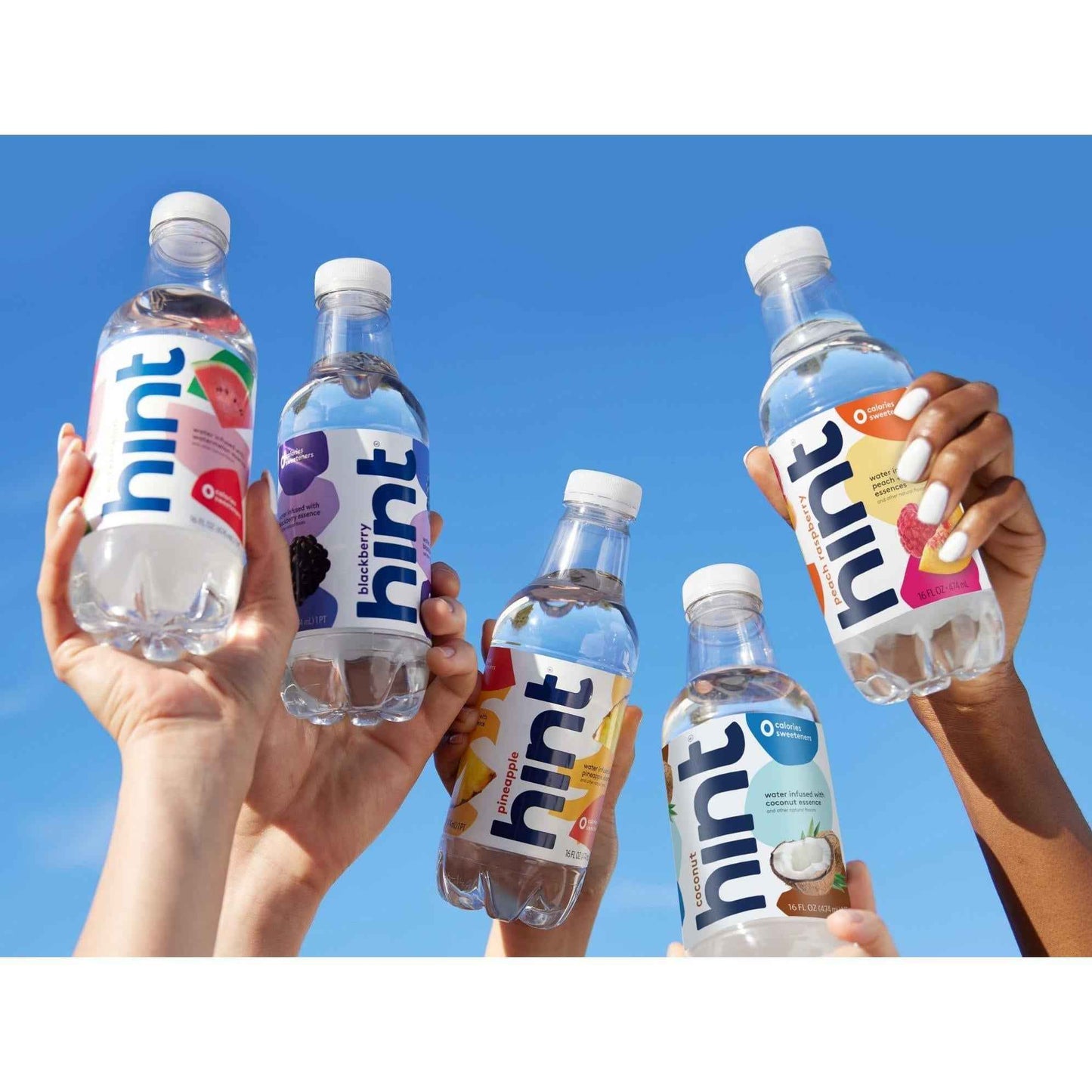Hint Flavored Water for Camping Trips and Hiking Days, Sturdy BPA-Free 12-Pack