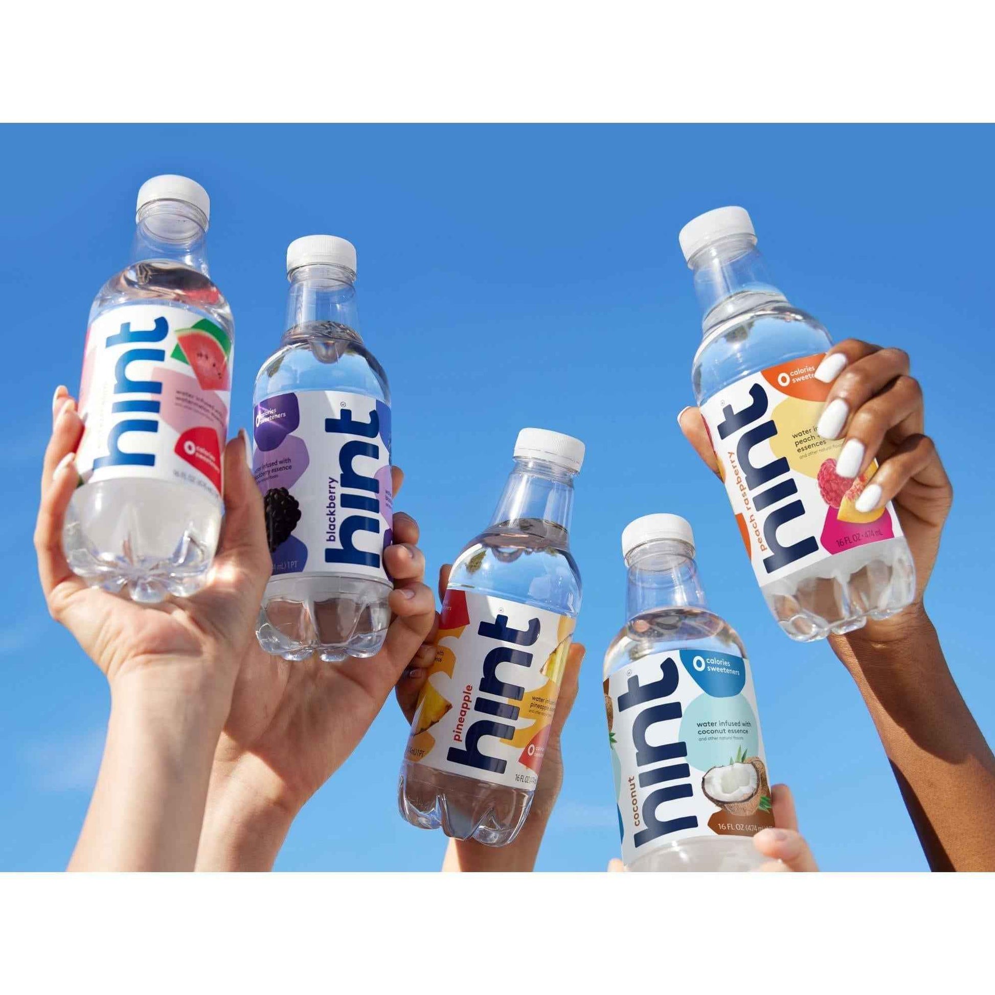 Hint Flavored Water for Camping Trips and Hiking Days, Sturdy BPA-Free 12-Pack