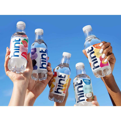 Hint Flavored Water for Camping Trips and Hiking Days, Sturdy BPA-Free 12-Pack