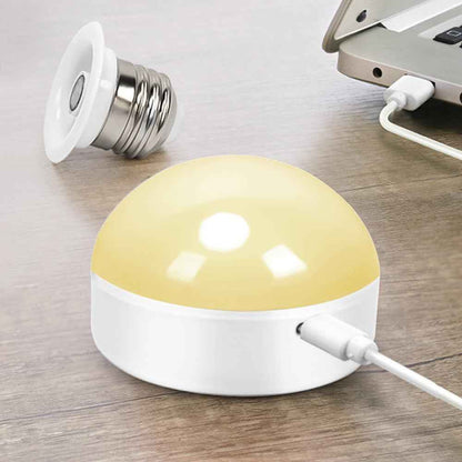 BLUEYE Rechargeable LED Bulb Gift Set for Mom, 2-Pack Cordless Lamp with Remote and Timer for Birthday
