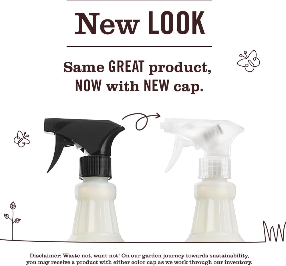 Mrs._MEYER'S_CLEAN_DAY_Multi-Surface_Everyday_Cleaner,_Clementine_Scent,_16_Fl_Oz_Bottle
