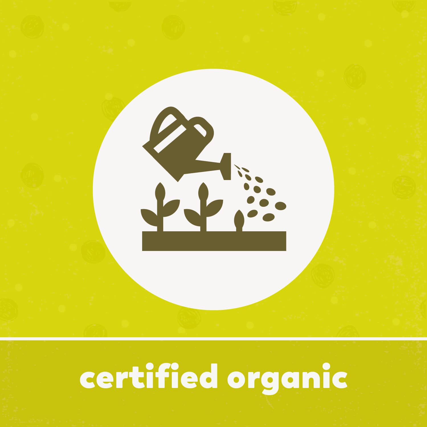 Yupik_Organic_Whole_Oat_Groats,2.2_lb_(35.2_oz),_Non-GMO,_Vegan,_Kosher,_Raw,_Whole_Grain_Oats,_Salt-Free,_Nutty_Flavor,_Good_Source_of_Fiber,_Ideal_for_Baking_&_Cooking