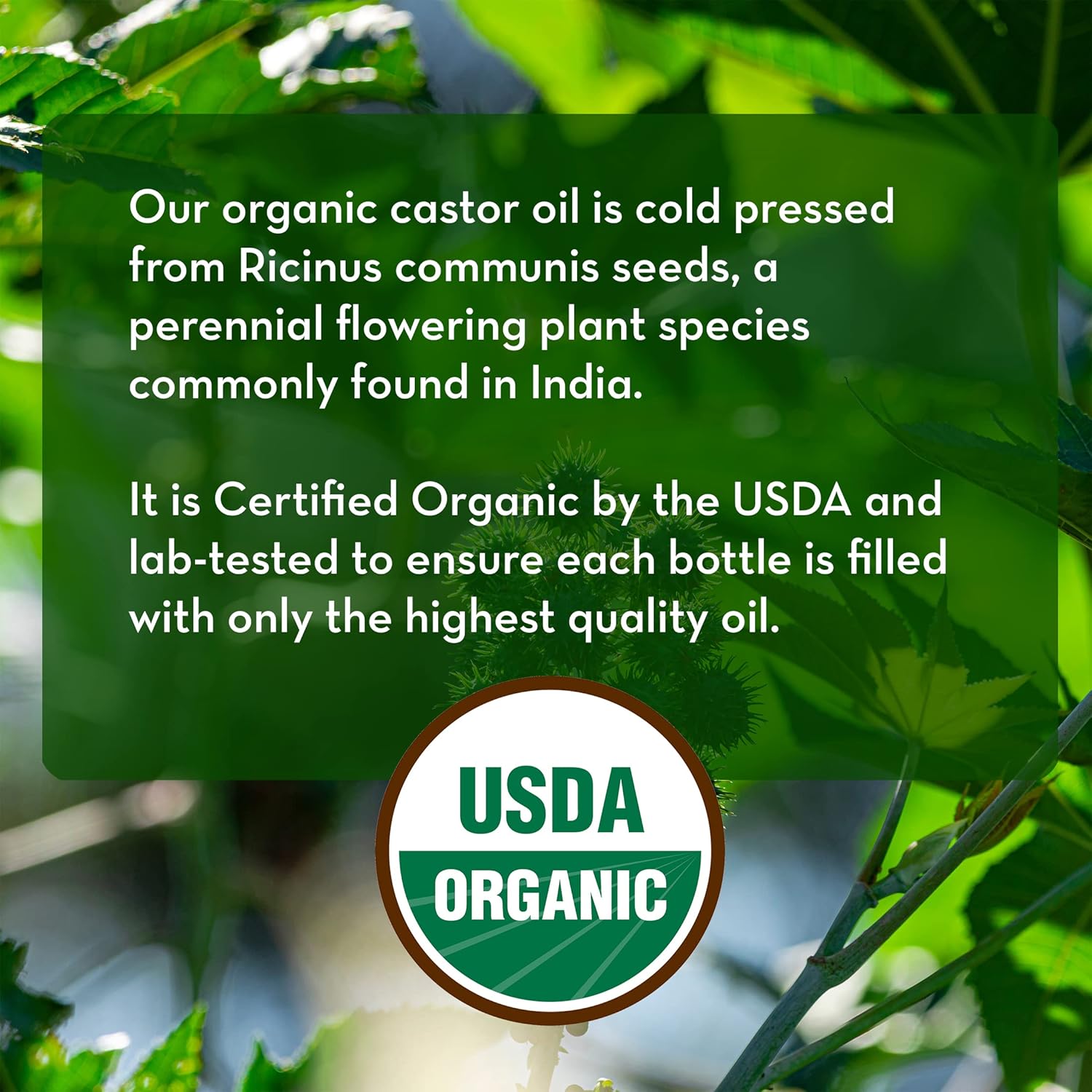 Pure_Body_Naturals_Castor_Oil_for_Eyelashes_and_Eyebrows_-_Brow_and_Lash_Growth_Serum_-_1_fl_oz_-_Organic,_Hexane_Free,_Cold_Pressed_Unrefined