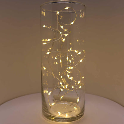 QBIS_Warm_White_Fairy_Lights_Battery_Operated_With_Timer_Mode,_40_Micro_LED_for_Mason_Jars,_6.5ft_Silver_Wire_Indoor_Use