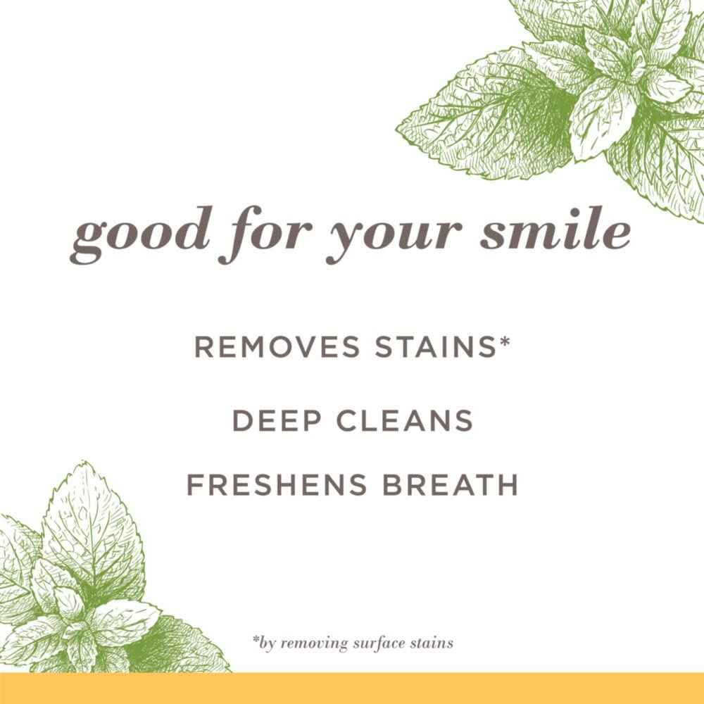 Burt's Bees Toothpaste, Natural Flavor, 4.7 oz, Pack of 3