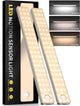 3 Color Light - 2-Pack 8 inch