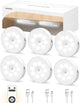 Cold White - 6 PACK