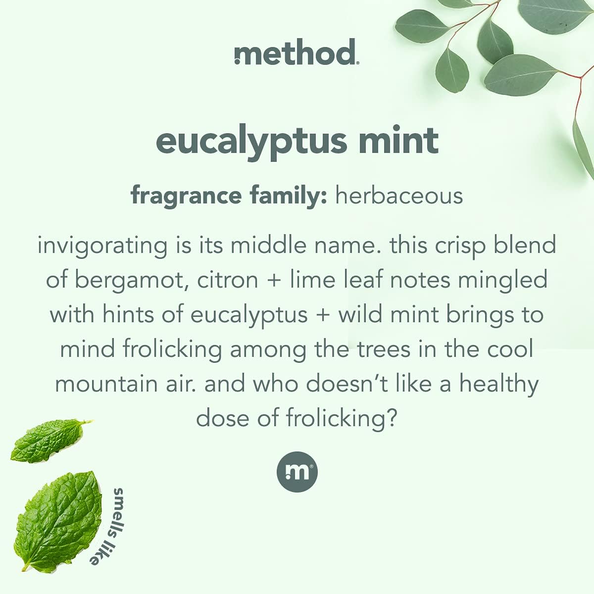 Method_Bathroom_Cleaner,_Removes_Mold_+_Mildew_Stains,_Eucalyptus_Mint,_28_Fl_Oz