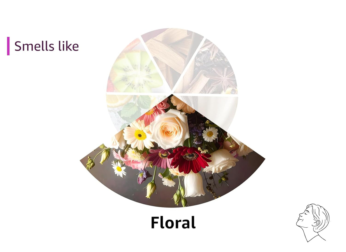 Degree_Women_Whole_Body_Deodorant_Spray,_Rose_&_Waterlily_Scent,_Aluminum_Free_72H_Odor_Protection_4_oz