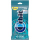 Winter Mint - 42 Count (Pack of 1)