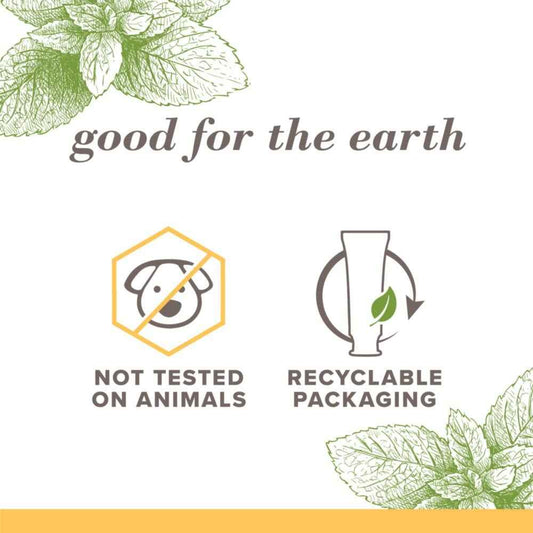 Burt's Bees Toothpaste, Natural Flavor, 4.7 oz, Pack of 3